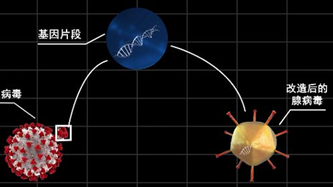 疫苗2.png 疫苗2.png