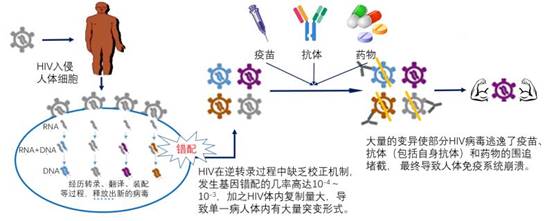 W020200630799728098648.jpg W020200630799728098648.jpg